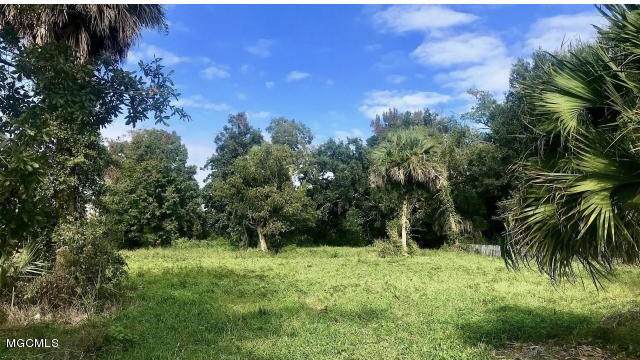 0 Township Rd - Photo 1