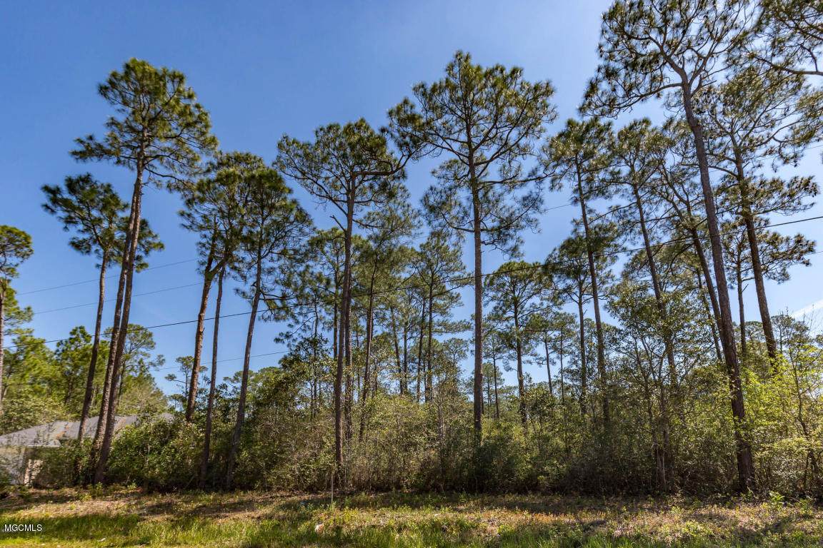 Lot 84 Porpoise Dr - Photo 1