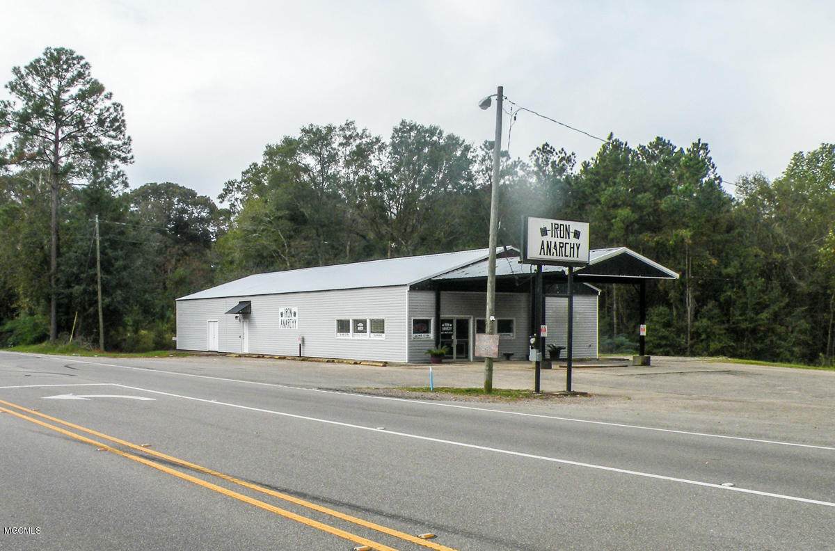 9231 Old Highway 63 South - Photo 1