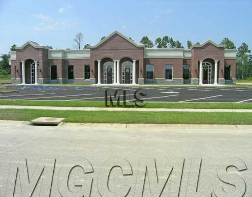 13157 Shriner Blvd - Photo 1