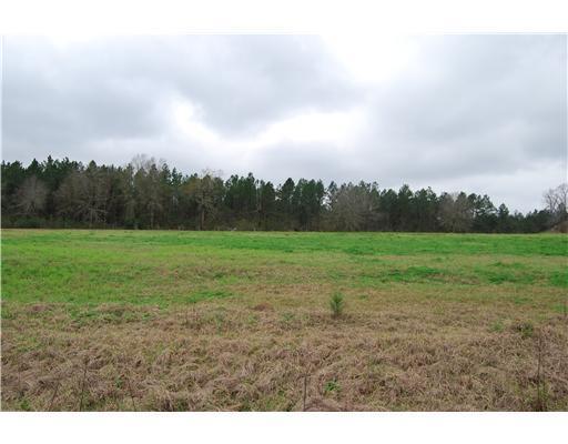 Lot 3 Oak Dr - Photo 1 Lot 3 Oak Dr - Photo 1