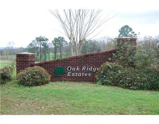 Lot 10 Oak Dr - Photo 1 Lot 10 Oak Dr - Photo 1