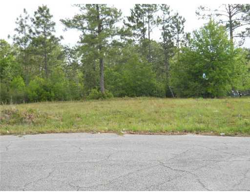 0 Mary Dr - Photo 1