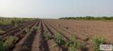 10 Acres Mile 4 - Photo 1
