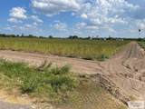 10.59 Acres Tamm Ln - Photo 5