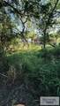 158 Hortencia Blvd. - Photo 17