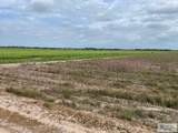 17.87 Acres Tract 43 Rd - Photo 7