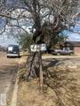 804 Palmas St. - Photo 2