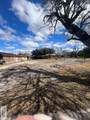 804 Palmas St. - Photo 4