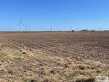 40 Acres Brown Tract Rd - Photo 4