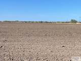 35.65 Acres Villafranco Rd. - Photo 5