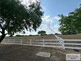 34313 Buck Fawn Dr - Photo 11