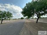 34313 Buck Fawn Dr - Photo 12