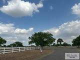 34313 Buck Fawn Dr - Photo 7