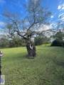 25539 Brown Tract Rd - Photo 7
