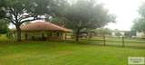 24737 Altas Palmas Rd - Photo 6