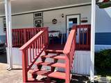 1219 Palmera Dr. - Photo 3