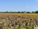 29.69 Acres Sam Houston - Photo 2