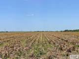 29.69 Acres Sam Houston - Photo 3