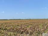 29.69 Acres Sam Houston - Photo 4