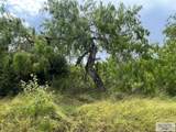 28.52 Acres Parker Rd. - Photo 8