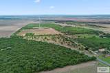 9.97 ACRES Fm 2629 - Photo 10