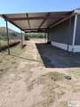 7123 Elisa St - Photo 2