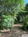 3217 Upas Dr - Photo 17