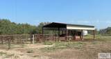 1378 Acres Fm 490 - Photo 18