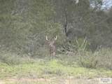 1378 Acres Fm 490 - Photo 2