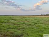 1378 Acres Fm 490 - Photo 3