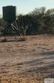 1378 Acres Fm 490 - Photo 5
