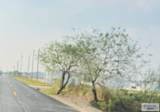 0 California Rd. - Photo 3