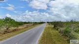 31843 San Roman Rd. - Photo 8