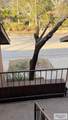 95 Poinciana - Photo 29