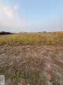 2909 Rita Flores Dr. - Photo 4