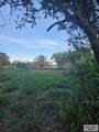 9200 Lake Shore Dr. - Photo 3