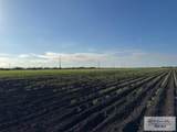 57.725 Acres Fm 1847 - Photo 6