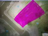 2650 Arely Ln - Photo 3
