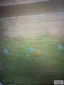 2678 Arely Ln - Photo 3