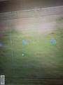 2682 Arely Ln - Photo 3