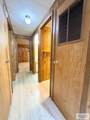 1517 Coco Palm Dr. - Photo 16