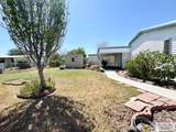 1517 Coco Palm Dr. - Photo 35
