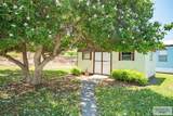 704 Palmera Dr. - Photo 8