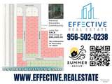 206 Royal Palm Dr - Photo 2