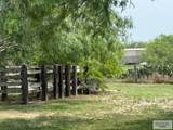 12736 Hwy 281 - Photo 14
