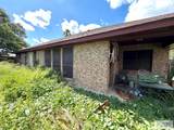 1954 Sabal Palm Dr. - Photo 19