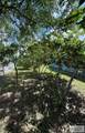 104 Redwood St - Photo 4
