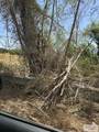 17005 Arroyo Bank Dr. - Photo 2