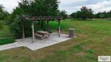 442 Alfonso Mata Rd - Photo 11